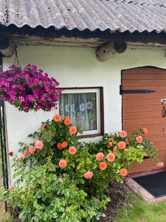 Searooms Lapmežciems Buitenkant foto
