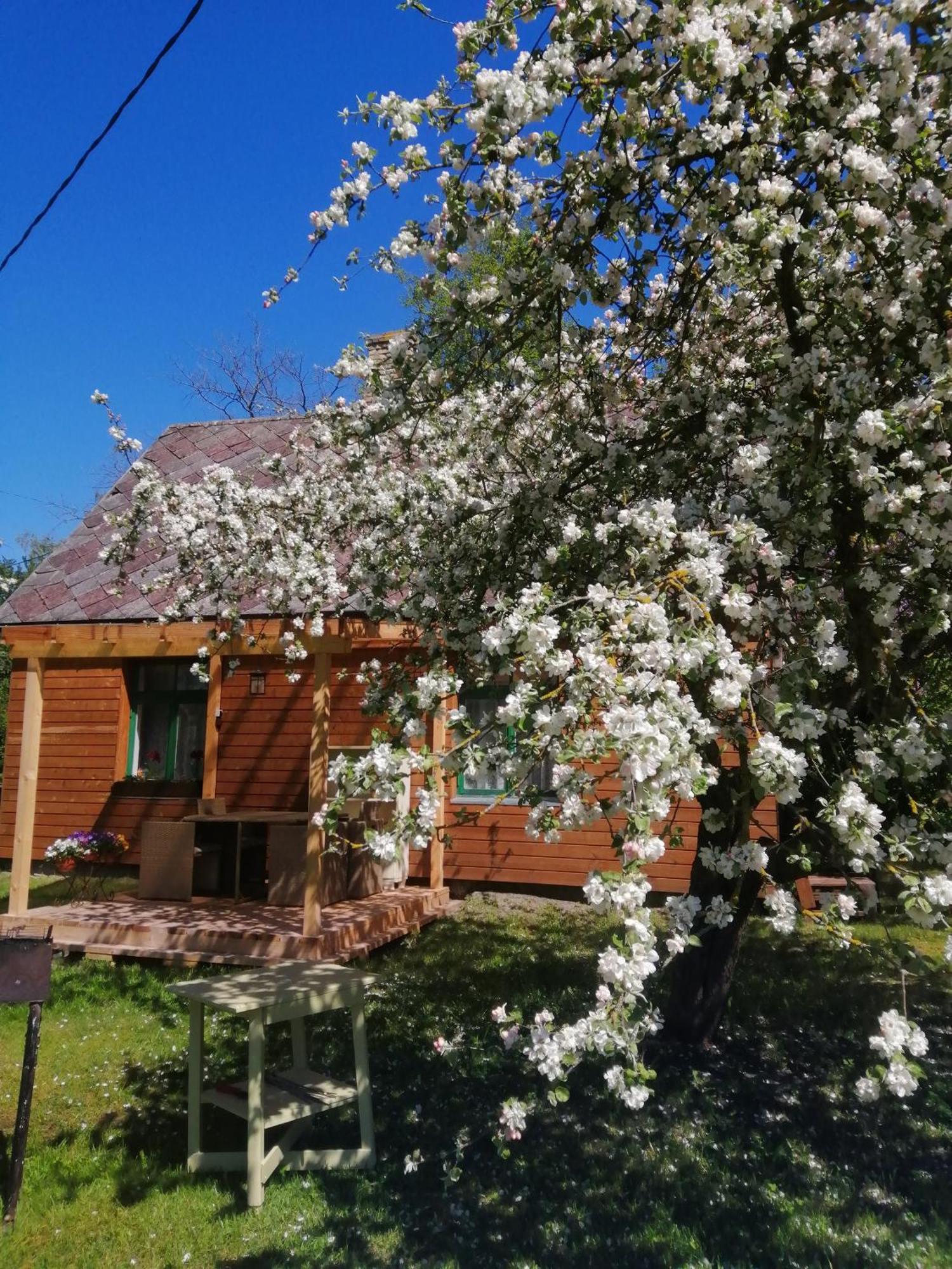 Searooms Lapmežciems Kamer foto