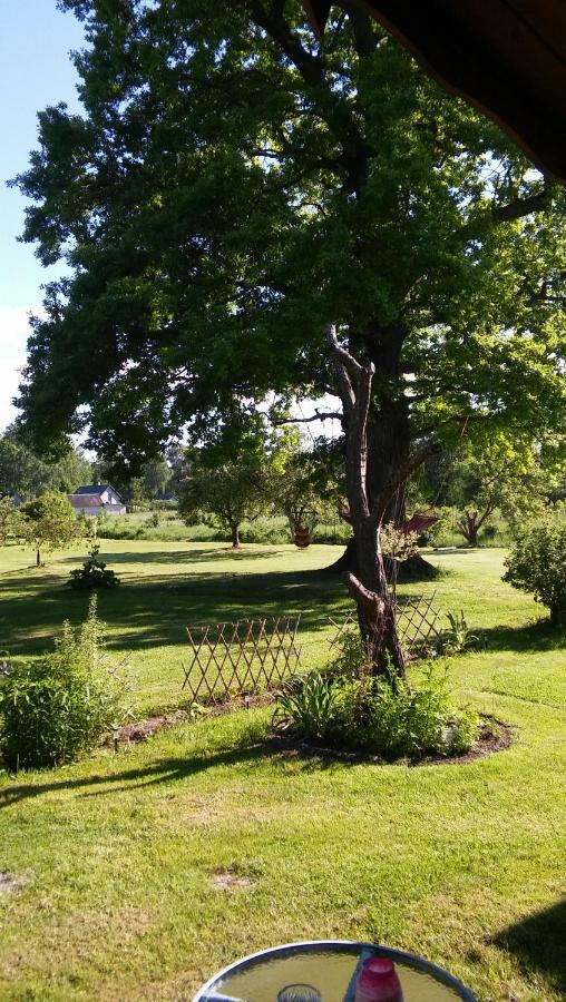 Searooms Lapmežciems Buitenkant foto