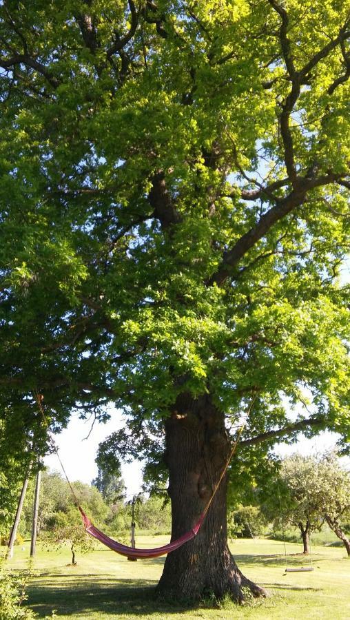 Searooms Lapmežciems Buitenkant foto