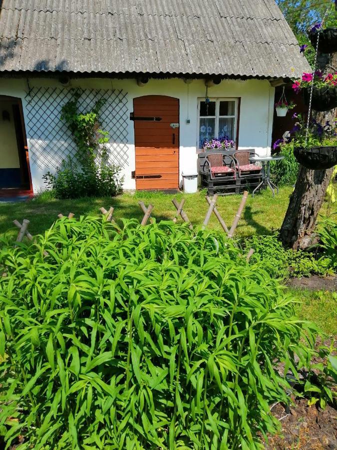 Searooms Lapmežciems Buitenkant foto