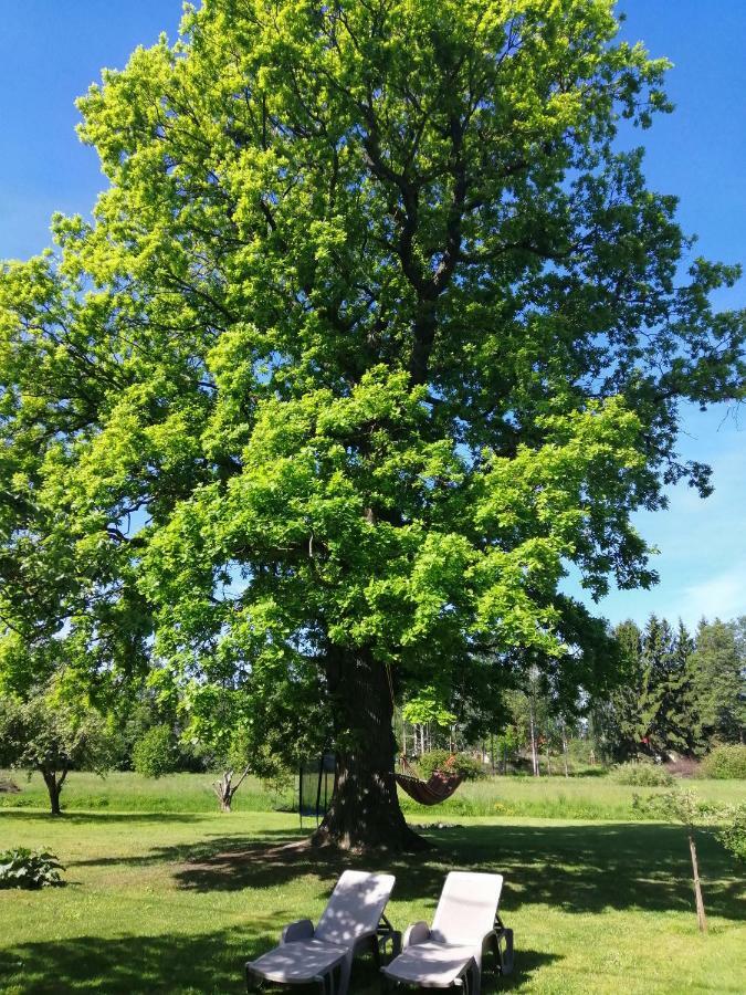 Searooms Lapmežciems Buitenkant foto